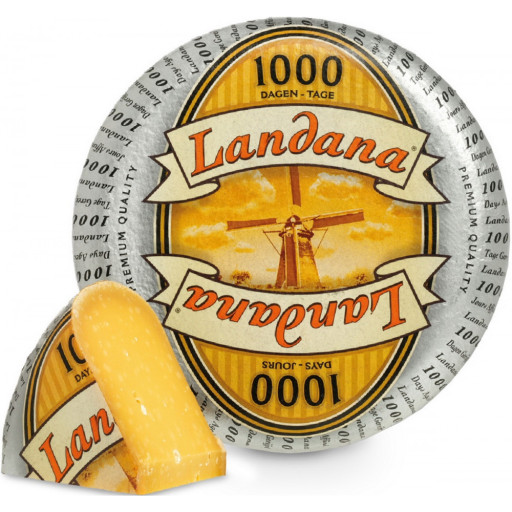 Ландана "1000 днів" Голландія